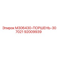 92009939 M306430-ПОРШЕНЬ-307021 Epiroc