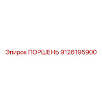 9126195900 ПОРШЕНЬ Эпирок