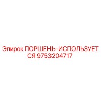 9753204717 ПОРШЕНЬ-ИСПОЛЬЗУЕТСЯ Epiroc