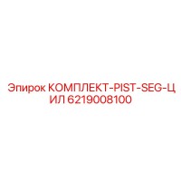 6219008100 КОМПЛЕКТ-PIST-SEG-ЦИЛ Epiroc