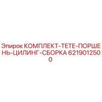 6219012500 КОМПЛЕКТ TETE ПОРШЕНЬ ЦИЛИНГ СБОРКА Epiroc