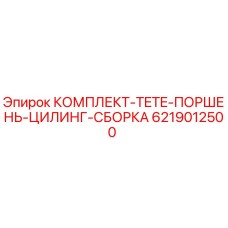 6219012500 КОМПЛЕКТ TETE ПОРШЕНЬ ЦИЛИНГ СБОРКА Epiroc
