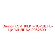 6219062500 КОМПЛЕКТ-ПОРШЕНЬ-ЦИЛИНДР Epiroc