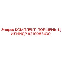 6219062400 КОМПЛЕКТ-ПОРШЕНЬ-ЦИЛИНДР Epiroc