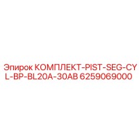 6259069000 КОМПЛЕКТ-PIST-SEG-CYL-BP-BL20A-30AB Epiroc