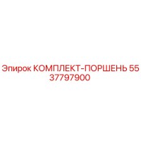 5537797900 КОМПЛЕКТ-ПОРШЕНЬ Epiroc