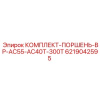 6219042595 КОМПЛЕКТ-ПОРШЕНЬ-BP-AC55-AC40T-300T Epiroc