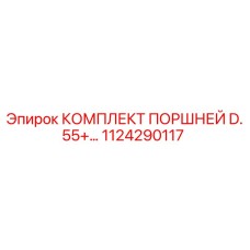 1124290117 КОМПЛЕКТ ПОРШНЕЙ D.55+ Epiroc
