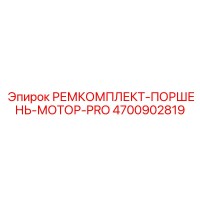 4700902819 РЕМКОМПЛЕКТ-ПОРШЕНЬ-МОТОР-PRO Epiroc
