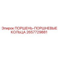2657729881 ПОРШЕНЬ-ПОРШНЕВЫЕ КОЛЬЦА by Epiroc