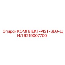 6219007700 КОМПЛЕКТ-PIST-SEG-ЦИЛ Epiroc