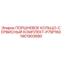 1901903680 ПОРШНЕВОЕ КОЛЬЦО-СЕРВИСНЫЙ КОМПЛЕКТ-P75P160 Epiroc