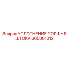 665001012 УПЛОТНЕНИЕ ПОРШНЯ-ШТОКА Epiroc