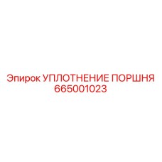 665001023 УПЛОТНЕНИЕ ПОРШНЯ Epiroc