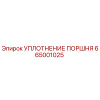 665001025 УПЛОТНЕНИЕ ПОРШНЯ Epiroc