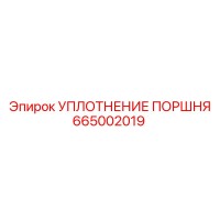 665002019 УПЛОТНЕНИЕ ПОРШНЯ Epiroc