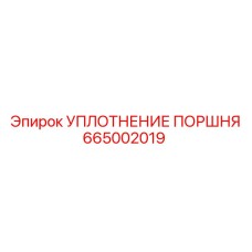 665002019 УПЛОТНЕНИЕ ПОРШНЯ Epiroc