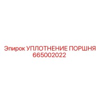665002022 УПЛОТНЕНИЕ ПОРШНЯ Epiroc