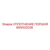 665002026 УПЛОТНЕНИЕ ПОРШНЯ Epiroc