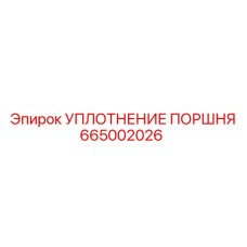 665002026 УПЛОТНЕНИЕ ПОРШНЯ Epiroc