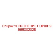 665002028 УПЛОТНЕНИЕ ПОРШНЯ Epiroc