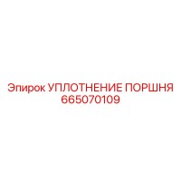 665070109 УПЛОТНЕНИЕ ПОРШНЯ Epiroc