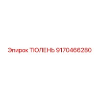 9170466280 ТЮЛЕНЬ Epiroc