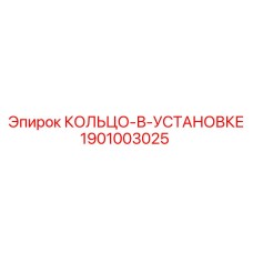 1901003025 КОЛЬЦО-В-УСТАНОВКЕ Epiroc