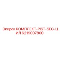 6219007800 КОМПЛЕКТ-PIST-SEG-ЦИЛ Epiroc