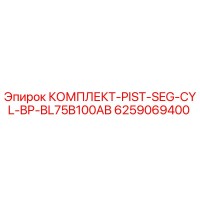 6259069400 КОМПЛЕКТ-PIST-SEG-CYL-BP-BL75B100AB Epiroc