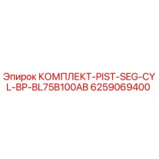 6259069400 КОМПЛЕКТ-PIST-SEG-CYL-BP-BL75B100AB Epiroc