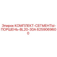 6259069600 КОМПЛЕКТ-СЕГМЕНТЫ-ПОРШЕНЬ-BL20-30A Epiroc