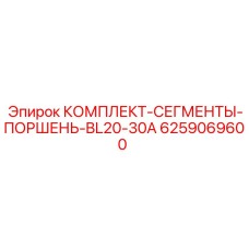 6259069600 КОМПЛЕКТ-СЕГМЕНТЫ-ПОРШЕНЬ-BL20-30A Epiroc