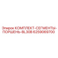 6259069700 КОМПЛЕКТ-СЕГМЕНТЫ-ПОРШЕНЬ-BL30B Epiroc