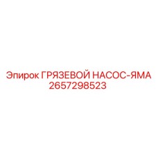 2657298523 - ГРЯЗЕВОЙ НАСОС-ЯМА - Epiroc