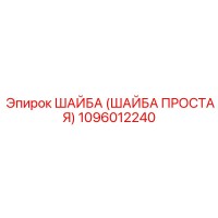 1096012240 ШАЙБА (ШАЙБА ПРОСТАЯ) Epiroc