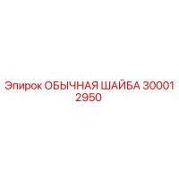 300012950 ОБЫЧНАЯ ШАЙБА Epiroc