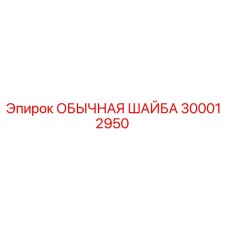300012950 ОБЫЧНАЯ ШАЙБА Epiroc