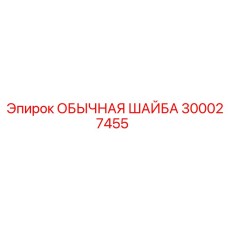 300027455 ОБЫЧНАЯ ШАЙБА Epiroc