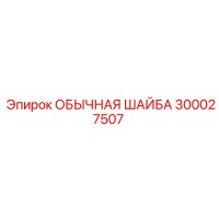 300027507 ОБЫЧНАЯ ШАЙБА Epiroc