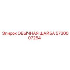5730007254 ОБЫЧНАЯ ШАЙБА Epiroc