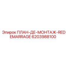 6203988100 ПЛАН-ДЕ-МОНТАЖ-REDEMARRAGE Epiroc