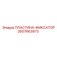 2657663973 ПЛАСТИНА-ФИКСАТОР Epiroc