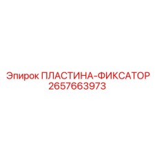 2657663973 ПЛАСТИНА-ФИКСАТОР Epiroc