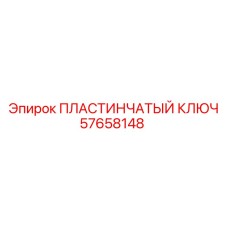 57658148 ПЛАСТИНЧАТЫЙ КЛЮЧ Epiroc