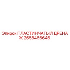 2658466646 - ПЛАСТИНЧАТЫЙ ДРЕНАЖ | Epiroc