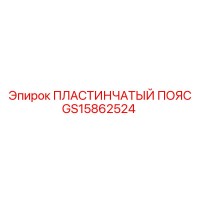 GS15862524 ПЛАСТИНЧАТЫЙ ПОЯС Epiroc