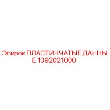 1092021000 ПЛАСТИНЧАТЫЕ ДАННЫЕ Epiroc