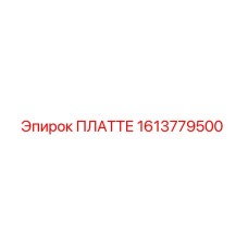 1613779500 ПЛАТТЕ Epiroc