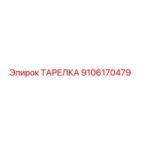 9106170479 ТАРЕЛКА Epiroc